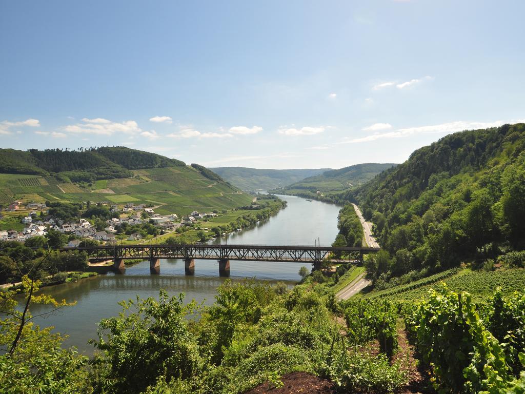 Ferienwohnung Am Moselufer Zell an der Mosel Exterior photo