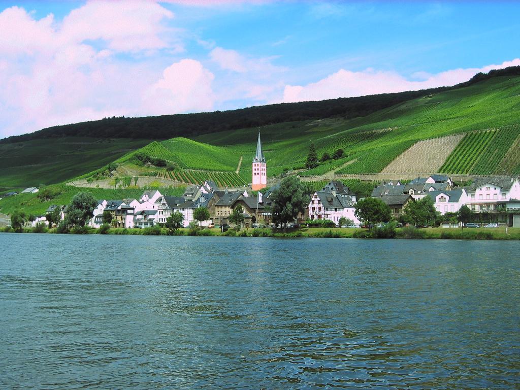 Ferienwohnung Am Moselufer Zell an der Mosel Exterior photo